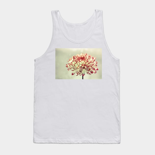 Hold onto the Light Tank Top by micklyn